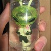 Alienzucht