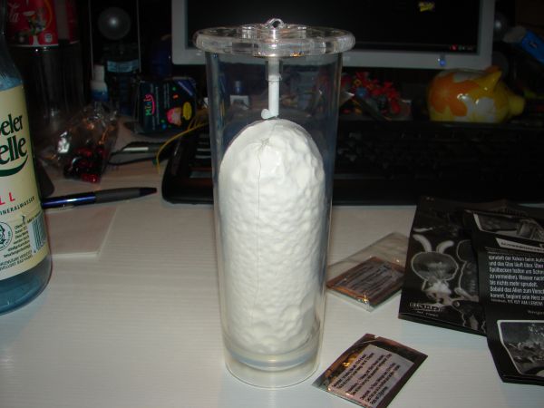 Alienzucht