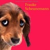 Amazon-Gestöber - #3 - Können Hundeaugen lügen
