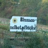 Blumenselbstpfluecke