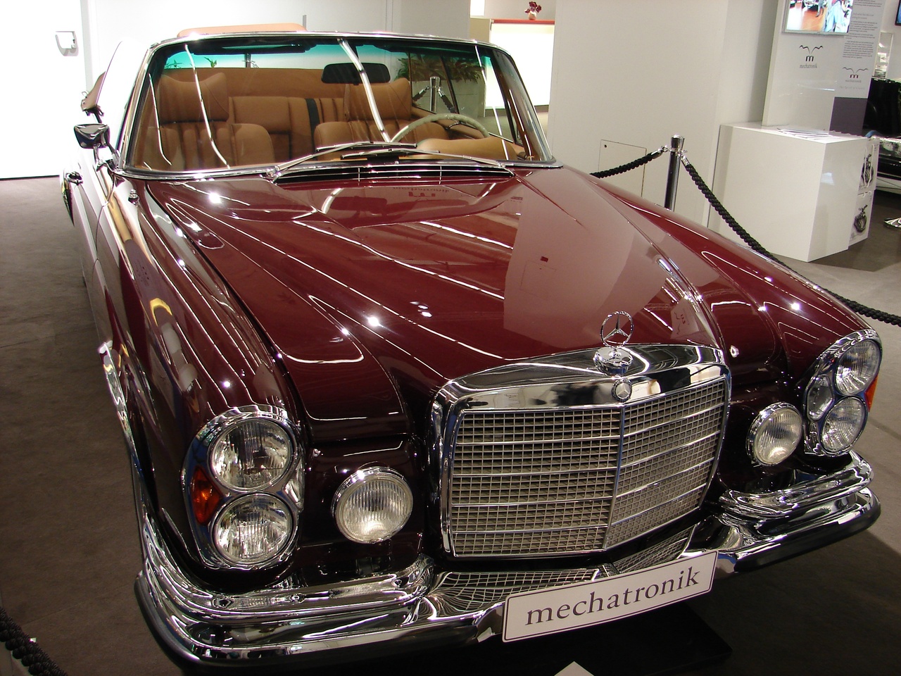 IAA 2013