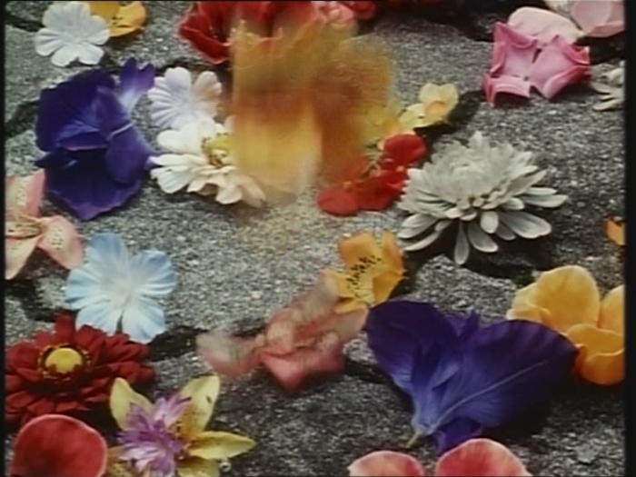 Power Rangers Monster - S01E24 - Spuckende Blume