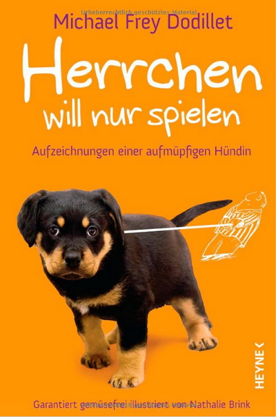 Amazon-Gestöber - #3 - Können Hundeaugen lügen