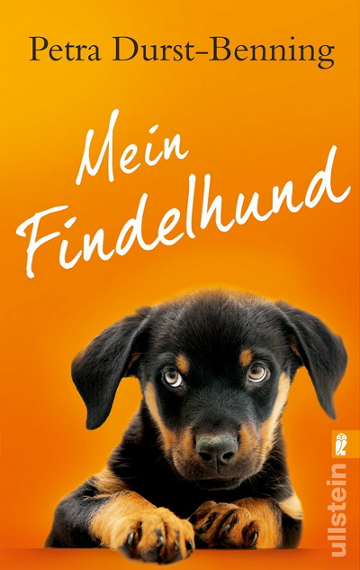 Amazon-Gestöber - #3 - Können Hundeaugen lügen