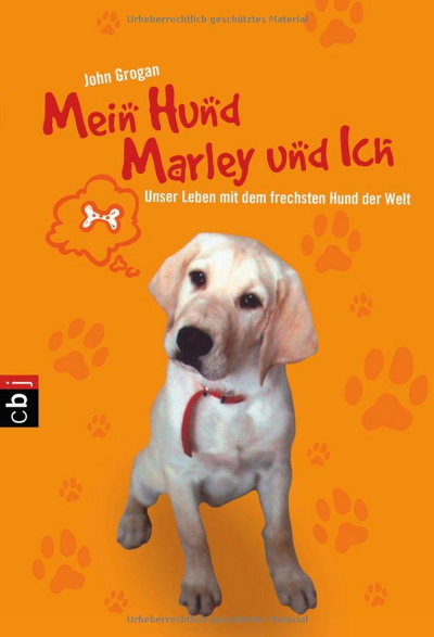 Amazon-Gestöber - #3 - Können Hundeaugen lügen