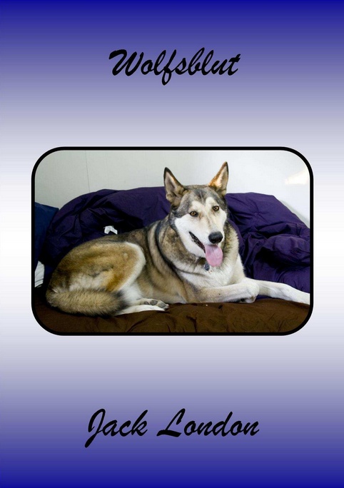 Amazon-Gestöber - #3 - Können Hundeaugen lügen
