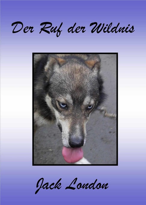 Amazon-Gestöber - #3 - Können Hundeaugen lügen
