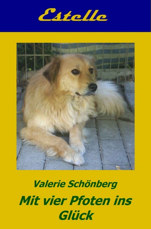 Amazon-Gestöber - #3 - Können Hundeaugen lügen
