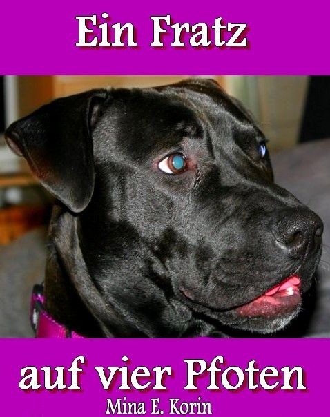Amazon-Gestöber - #3 - Können Hundeaugen lügen