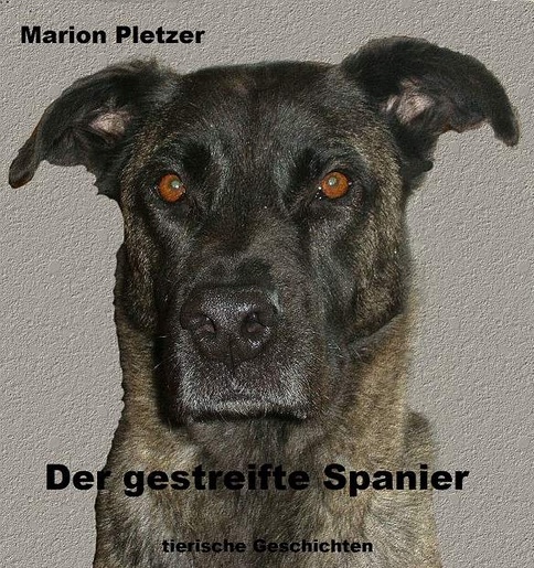 Amazon-Gestöber - #3 - Können Hundeaugen lügen