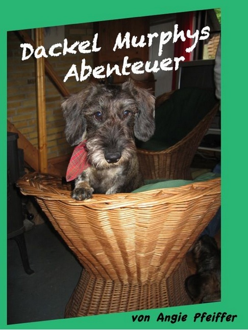 Amazon-Gestöber - #3 - Können Hundeaugen lügen