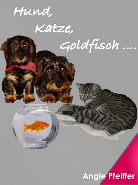 Amazon-Gestöber - #3 - Können Hundeaugen lügen