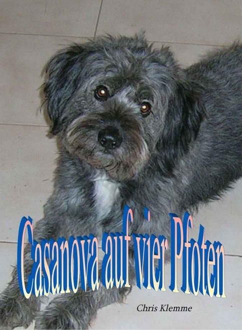 Amazon-Gestöber - #3 - Können Hundeaugen lügen