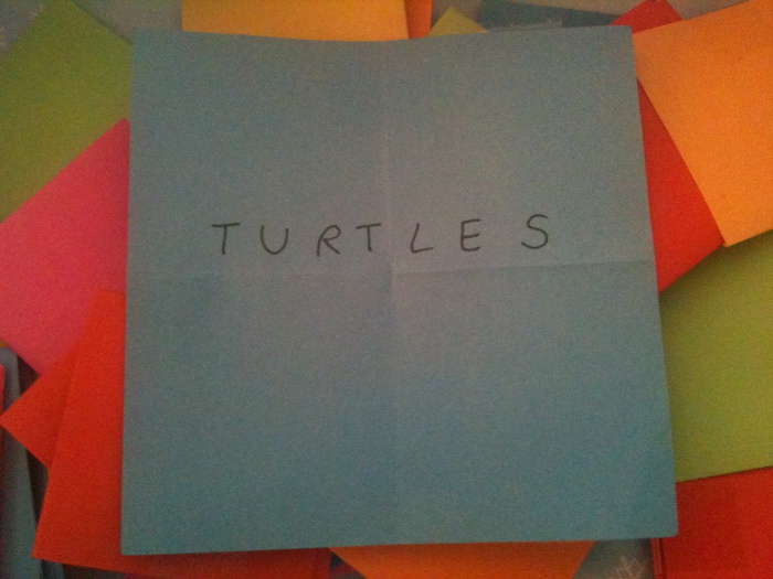 Genürsel 2013 - 23/52 - Turtles