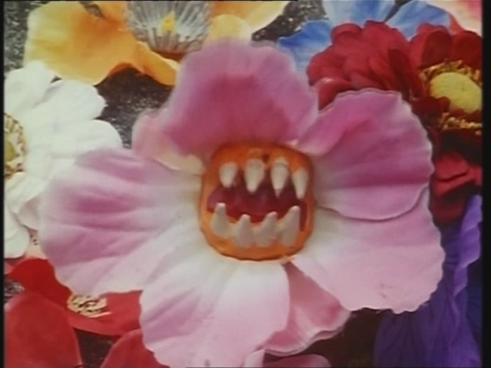 Power Rangers Monster - S01E24 - Spuckende Blume