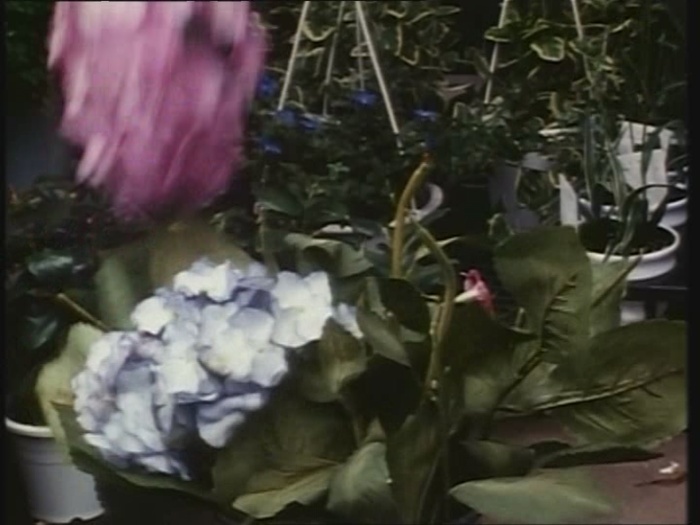 Power Rangers Monster - S01E24 - Spuckende Blume