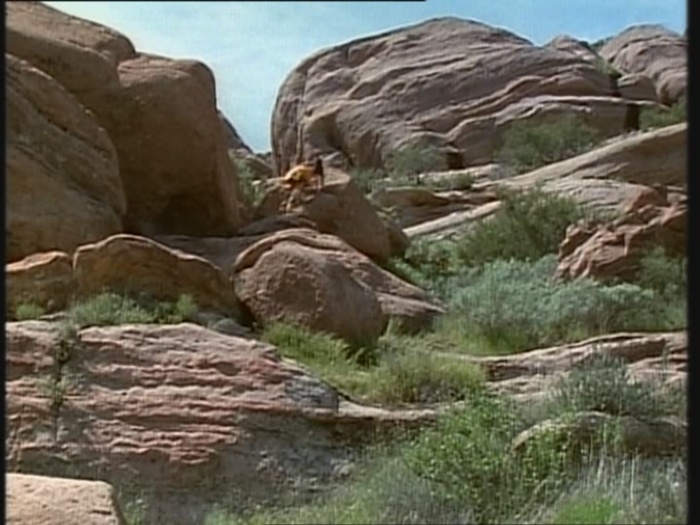 Power Rangers vs. Kyoryu Sentai Zyuranger - Teil 3