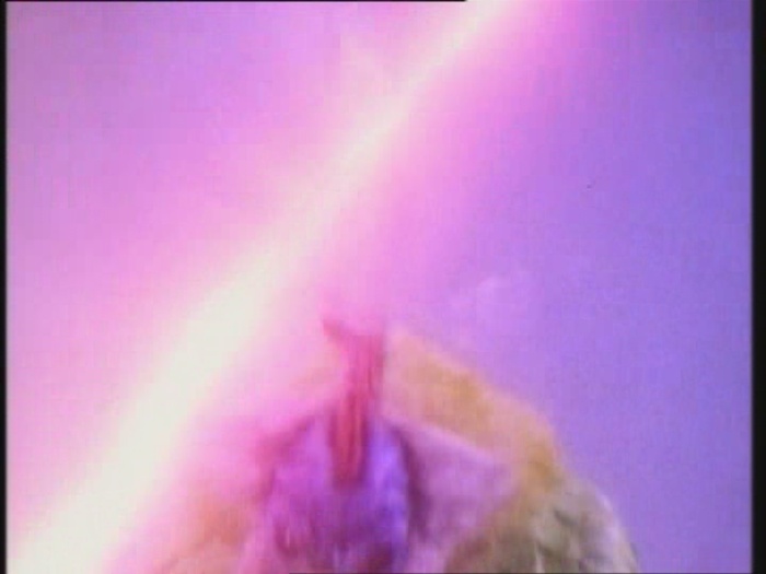 Power Rangers Monster - S01E07 - Hühnchen