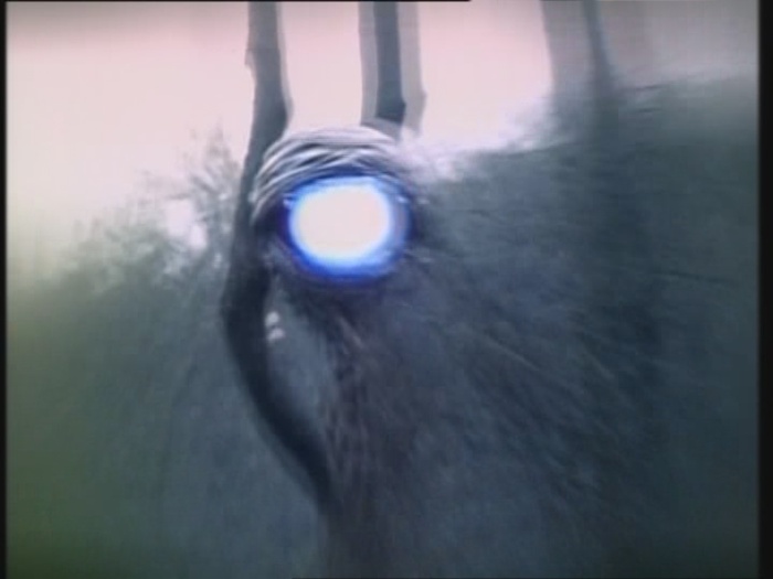 Power Rangers Monster - S01E09 - Das Auge
