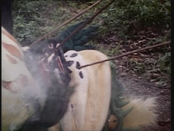 Power Rangers Monster - S01E14 - Terrorkröte