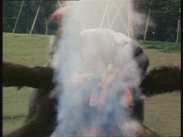 Power Rangers Monster - S01E23 - Spinnenmonster