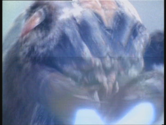 Power Rangers Monster - S01E23 - Spinnenmonster Power Rangers Monster - S01E23 - Spinnenmonster