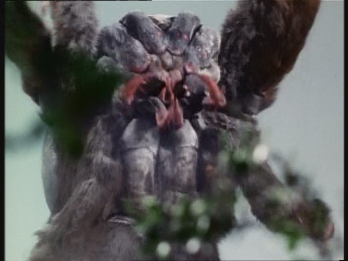 Power Rangers Monster - S01E23 - Spinnenmonster Power Rangers Monster - S01E23 - Spinnenmonster