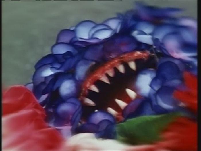 Power Rangers Monster - S01E24 - Spuckende Blume Power Rangers Monster - S01E24 - Spuckende Blume