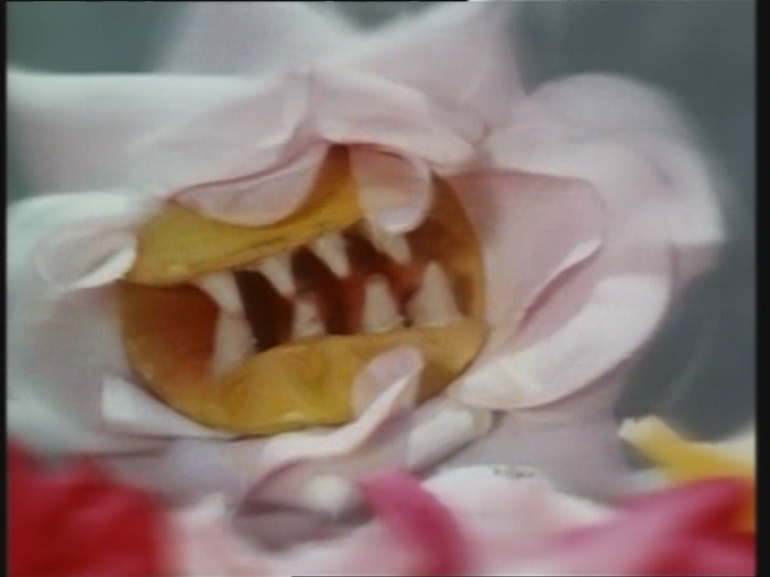 Power Rangers Monster - S01E24 - Spuckende Blume Power Rangers Monster - S01E24 - Spuckende Blume