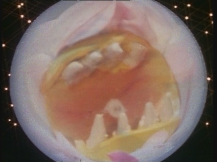 Power Rangers Monster - S01E24 - Spuckende Blume Power Rangers Monster - S01E24 - Spuckende Blume