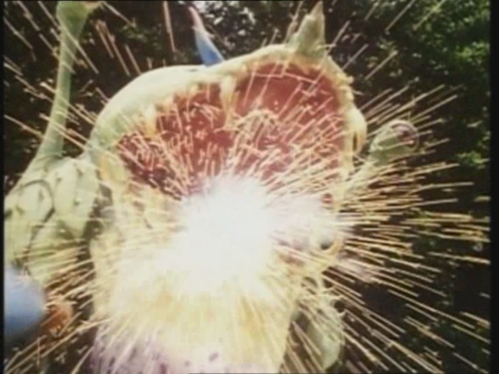 Power Rangers Monster - S01E24 - Spuckende Blume Power Rangers Monster - S01E24 - Spuckende Blume