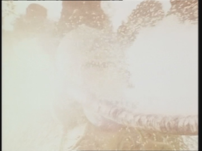 Power Rangers Monster - S01E24 - Spuckende Blume Power Rangers Monster - S01E24 - Spuckende Blume