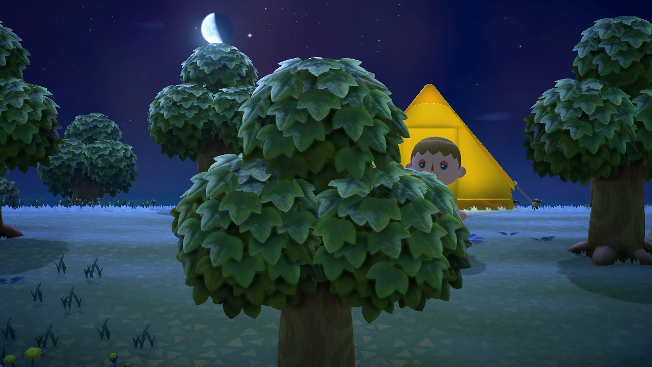 Animal Crossing - New Horizons - Gebommel - Tagebuch - Eintrag #1