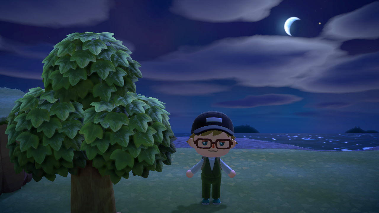 Animal Crossing - New Horizons - Gebommel - Tagebuch - Eintrag #1