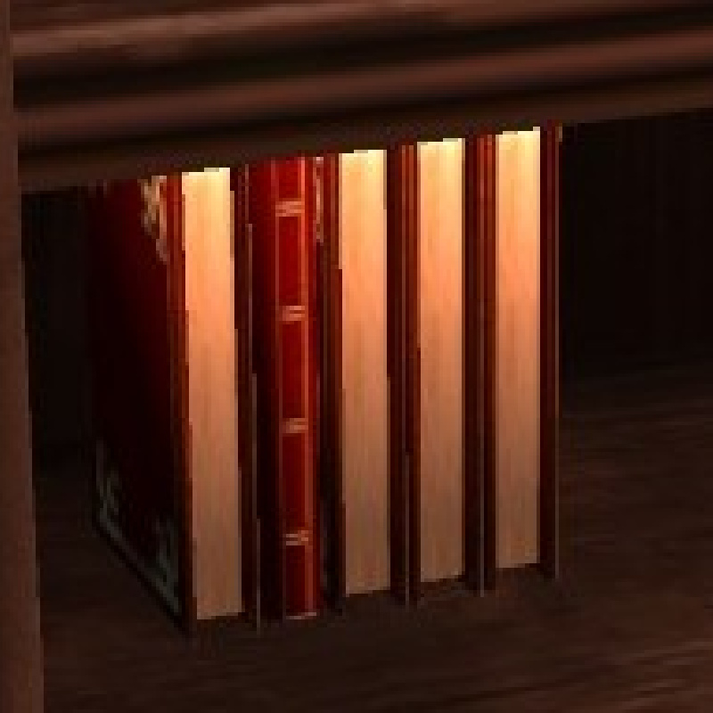 Die Bücherregale in Two Worlds