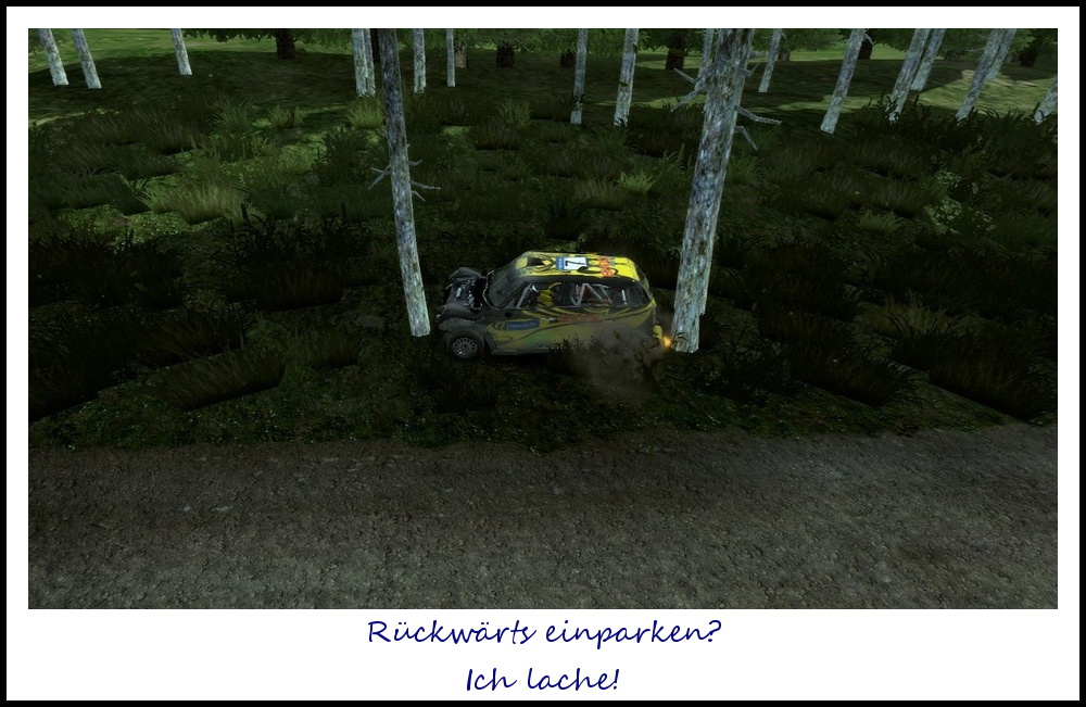 WRC3 - Ein Wrestler auf Abwegen