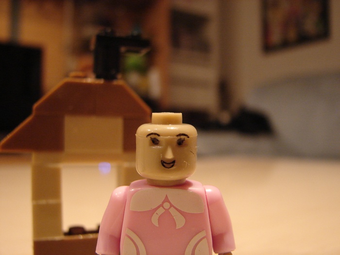What the Mini-Fig - #1 - Best-Lock - Gartenfrau